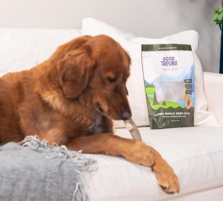 Show full view: Good Trouble Deer Antler Whole Dog Treats, Large, 2 count slide 7 of 7