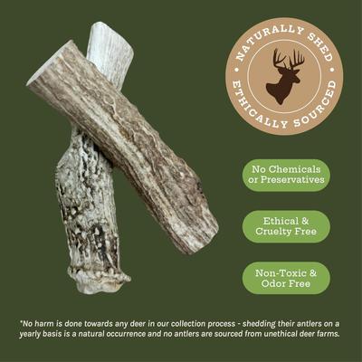 Show full view: Good Trouble Deer Antler Whole Dog Treats, Large, 2 count slide 3 of 7