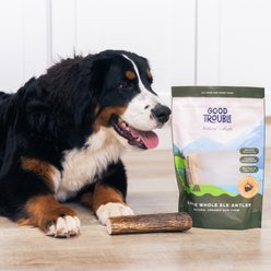 Good Trouble Elk Antler Whole Dog Treat, Large slide 2 of 4