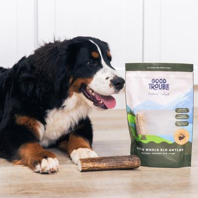 Show full view: Good Trouble Elk Antler Whole Dog Treat, Large slide 5 of 6