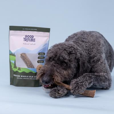 Show full view: Good Trouble Elk Antler Whole Dog Treat, Medium slide 6 of 7