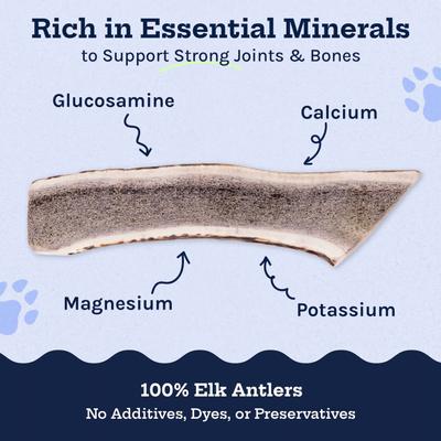 Show full view: Good Trouble Elk Antler Split Dog Treats, Large, 2 count slide 4 of 5
