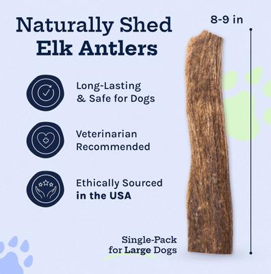 Show full view: Good Trouble Elk Antler Whole Dog Treat, Large slide 3 of 6