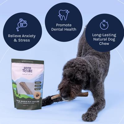 Show full view: Good Trouble Elk Antler Whole Dog Treats, Medium, 2 count slide 5 of 8
