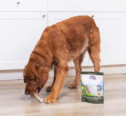Show full view: Good Trouble Deer Antler Whole Dog Treats, Medium, 2 count slide 6 of 6
