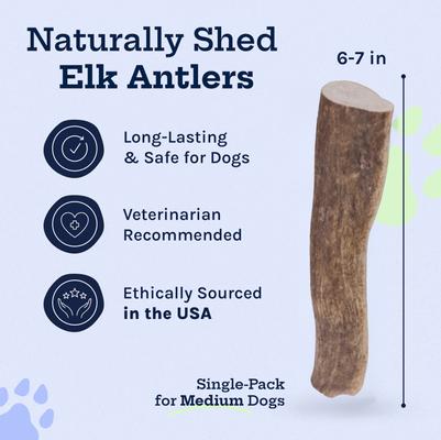 Show full view: Good Trouble Elk Antler Whole Dog Treat, Medium slide 3 of 7