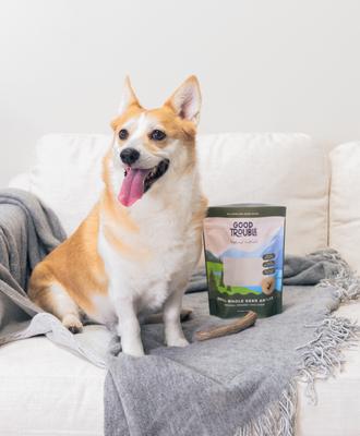 Show full view: Good Trouble Deer Antler Whole Dog Treats, Small, 2 count slide 6 of 6