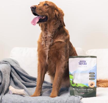 Show full view: Good Trouble Elk Antler Split Dog Treats, Medium, 2 count slide 5 of 5