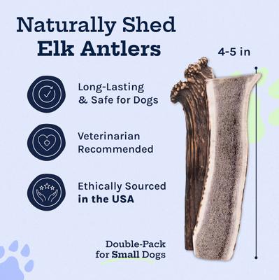 Show full view: Good Trouble Elk Antler Split Dog Treats, Small, 2 count slide 3 of 5