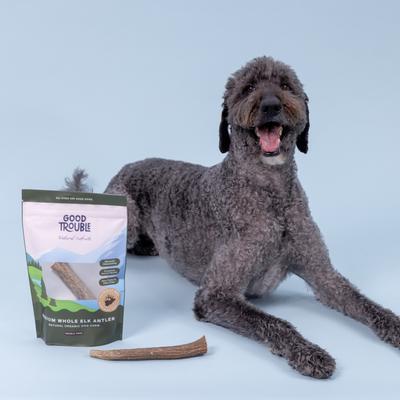 Show full view: Good Trouble Elk Antler Whole Dog Treats, Medium, 2 count slide 8 of 8