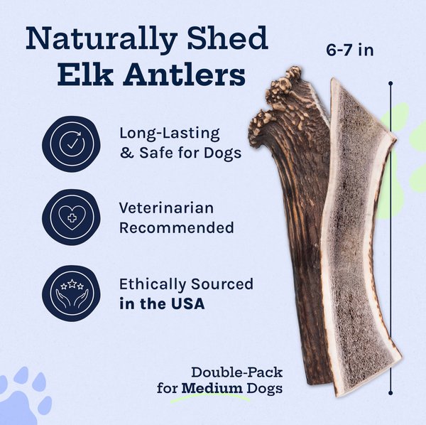 Good Trouble Elk Antler Whole Dog Treats, Large, 2 count