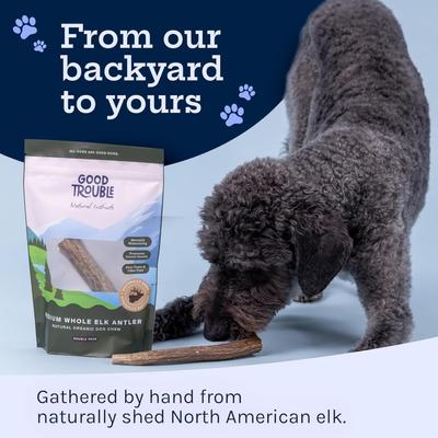 Show full view: Good Trouble Elk Antler Whole Dog Treats, Medium, 2 count slide 6 of 8