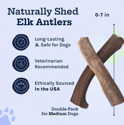 Show full view: Good Trouble Elk Antler Whole Dog Treats, Medium, 2 count slide 3 of 8