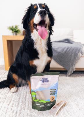 Show full view: Good Trouble Elk Antler Split Dog Treats, Large, 2 count slide 5 of 5