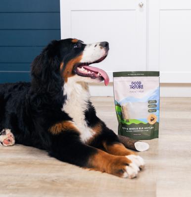 Show full view: Good Trouble Elk Antler Whole Dog Treats, Large, 2 count slide 5 of 5