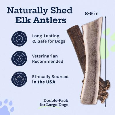 Show full view: Good Trouble Elk Antler Split Dog Treats, Large, 2 count slide 3 of 5