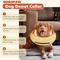 Show in main carousel: Supet Soft Inflatable Donut Dog Recovery Cone Collar, Medium slide 8 of 10