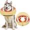 Show in main carousel: Supet Soft Inflatable Donut Dog Recovery Cone Collar, Medium slide 1 of 10