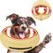 Show in main carousel: Supet Soft Inflatable Donut Dog Recovery Cone Collar, Small slide 1 of 10