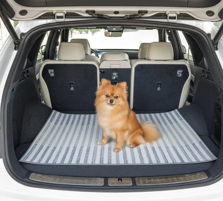 Show full view: The Avalon Society Washable Dog Pee Pad, Silvered Blue, 36 x 48-in slide 8 of 9