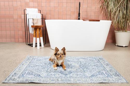 Show full view: The Avalon Society Washable Dog Pee Pad, Silvered Blue, 36 x 48-in slide 3 of 9