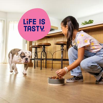 Show full view: Kibbles 'n Bits Mini Bits Savory Beef & Chicken Flavors Small Breed Dry Dog Food, 3.5-lb bag slide 7 of 12