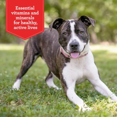 Show full view: Gravy Train Beefy Classic Dry Dog Food, 35-lb bag slide 4 of 11