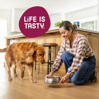 Show full view: Kibbles 'n Bits Savory Bacon & Steak Flavor Dry Dog Food, 3.5-lb bag slide 7 of 12