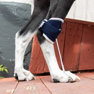 Balto Pull Hyperflexion Phalanges Dog Brace, Large