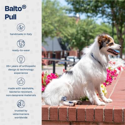 Show full view: Balto Pull Hyperflexion Phalanges Dog Brace, XX-Small slide 7 of 9