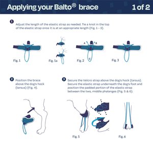 Balto Pull Hyperflexion Phalanges Dog Brace, Large