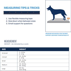 Balto Pull Hyperflexion Phalanges Dog Brace, Large