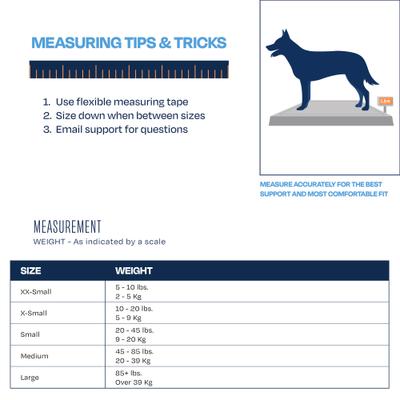 Show full view: Balto Pull Hyperflexion Phalanges Dog Brace, XX-Small slide 4 of 9
