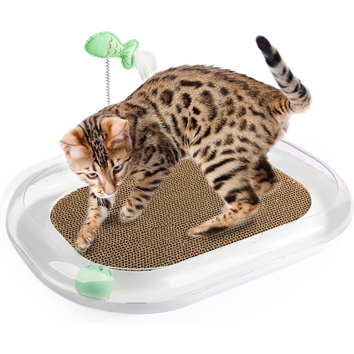 allforpaws Lifestyle 4 Pets Runway Scratcher Cat Toy with Catnip, White, 17.7 x 12.6 x 2.36-in