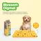Show in main carousel: allforpaws Blossom Digmat Refill Treat Dispensing Dog Toy, Yellow, 13 x 8-in slide 5 of 9