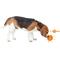 Show in main carousel: allforpaws Calming Pals Anti Anxiety Speaking Ball Dog Toy, Orange, 3.14-in slide 9 of 9
