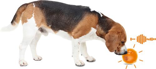 Show full view: allforpaws Calming Pals Anti Anxiety Speaking Ball Dog Toy, Orange, 3.14-in slide 9 of 9