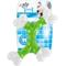 Show in main carousel: allforpaws Dental X-Bone Chew Dog Toy, Green, 7.8 x 7.0 x 1.3-in slide 1 of 3
