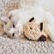 Show in main carousel: allforpaws Lambswool Snoring Cuddler Plush Cat Toy, Brown, 11.4 x 6.1 x 2.17-in slide 7 of 10