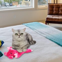 allforpaws Snoring Cuddler Pig Modern Plush Cat Toy, Pink, 10.6 x 4.7 x 2.56-in slide 2 of 8