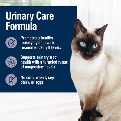 Show full view: Blue Buffalo True Solutions Urinary Care Chicken Pate Wet Cat Food, 3-oz can, case of 4 slide 5 of 12