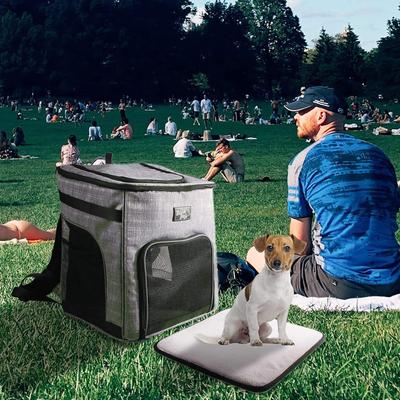 Show full view: allforpaws Travel Backpack Dog Carrier, Grey slide 6 of 10