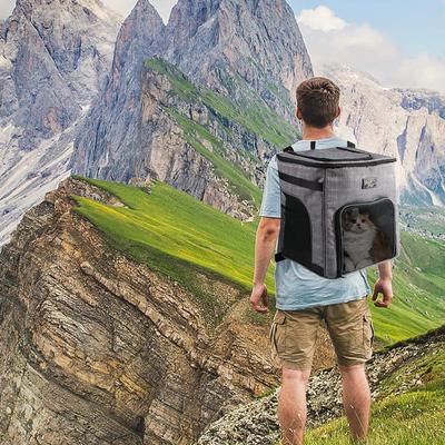 Show full view: allforpaws Travel Backpack Dog Carrier, Grey slide 5 of 10