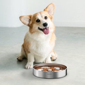 Feedoo Double-Wall Non-Skid Stainless Steel Slow Feeder Dog Bowl, Medium: 1.8-cup
