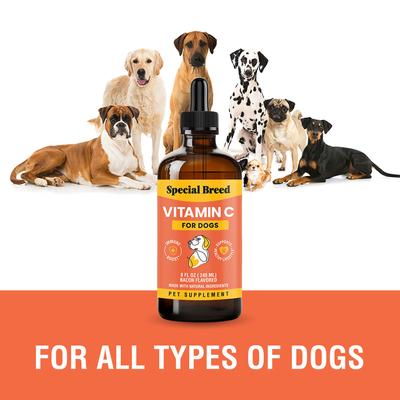 Show full view: Special Breed Vitamin C Bacon Flavored Liquid Immune Supplement for Dogs, 8-fl oz bottle slide 4 of 7