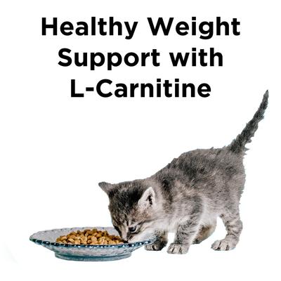 Show full view: BIXBI Liberty Indoor Health Chicken & Salmon Recipe Grain-Free Dry Cat Food, 10-lb bag slide 4 of 10