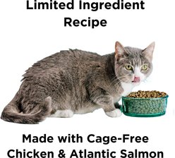 BIXBI Liberty Indoor Health Chicken & Salmon Recipe Grain-Free Dry Cat Food, 10-lb bag slide 2 of 8
