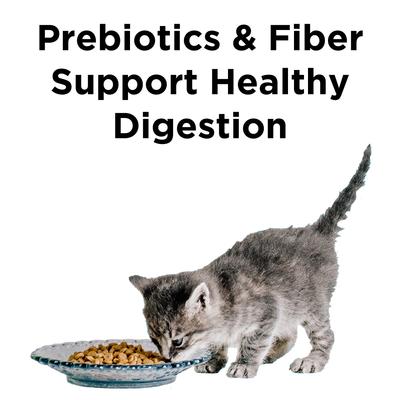 Show full view: BIXBI Liberty Digestive Health Chicken Recipe Grain-Free Dry Cat Food, 10-lb bag slide 4 of 10