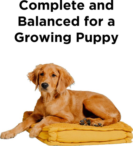 Show full view: BIXBI Liberty Puppy Original Recipe Fresh Turkey, Chicken & Fish Dry Dog Food, 11-lb bag slide 4 of 10