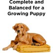 Show in main carousel: BIXBI Liberty Puppy Original Recipe Fresh Turkey, Chicken & Fish Dry Dog Food, 11-lb bag slide 4 of 10